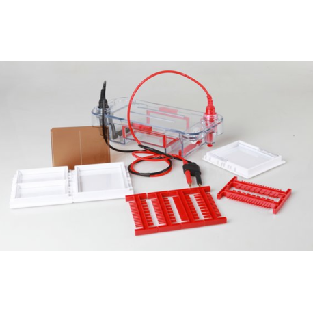 Camara (MINI) para ELECTROFORESIS horizontal en gel Camara (MINI) para ELECTROFORESIS horizontal en gel