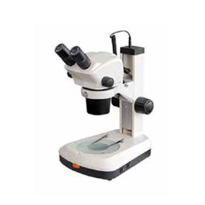 Stereo Microscopios Binocular Profesional