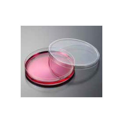 Caja Petri Plastica Desechable 100 X 20 Mm
