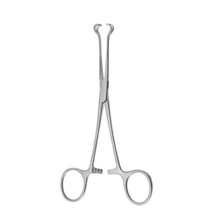 Pinza Babcock Atraumatica Para Agarrar Organos Y Tejidos De 20 Cm. Cat: 64.168.20 Dimeda -