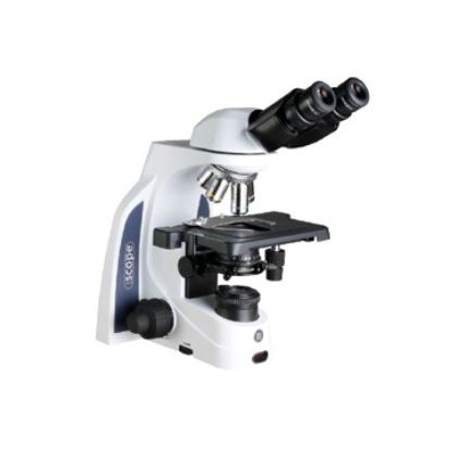 Microscopios Binoculares Iscope para campo claro EWF 10x / 22 mm o EWF 10x / 20 mm oculares