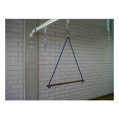 Trapecio Para Gimnasio Terapia Leon