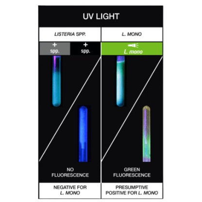 Insite Environmental Listeria Mono Glo Paquete X 25 Unds Hygiena