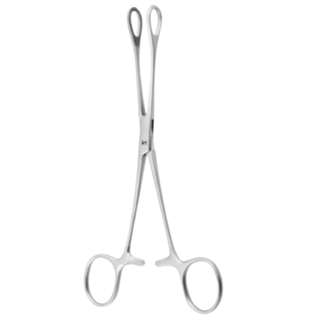 Pinza Foerster Ballenger Recta Boca Estriada, Porta Esponja, Long 18 Cm 7"