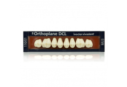 Montaje del SR Orthoplane DCL y colocación de los dientes posteriores